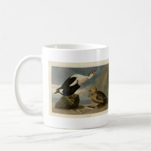 King Duck (King Eider) Audubon's Birds of America Coffee Mug