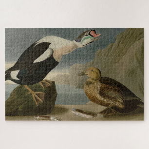 King Duck (King Eider) Audubon's Birds of America Jigsaw Puzzle