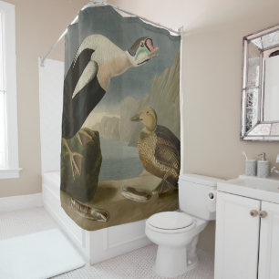 King Duck (King Eider) Audubon's Birds of America Shower Curtain