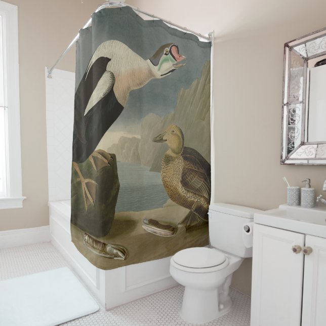 King Duck (King Eider) Audubon's Birds of America Shower Curtain (In Situ)
