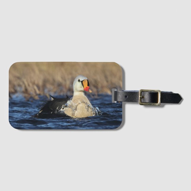 King Eider Bird Luggage Tag (Front Horizontal)