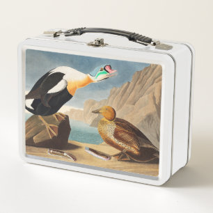 King Eider Duck from Birds of America (Audubon) Metal Lunch Box