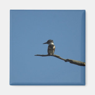 King Fisher Magnet