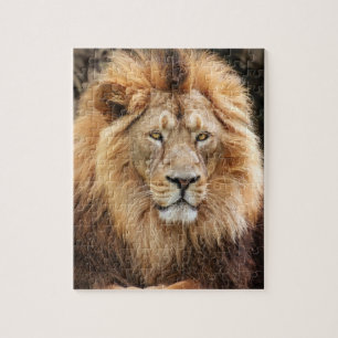 King Lion Photograph Jigsaw Puzzle