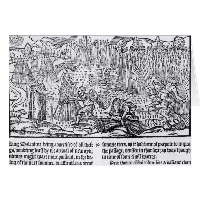 King Malcolm of Scotland (Front Horizontal)