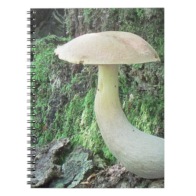 King Mushroom Notebook (Front)