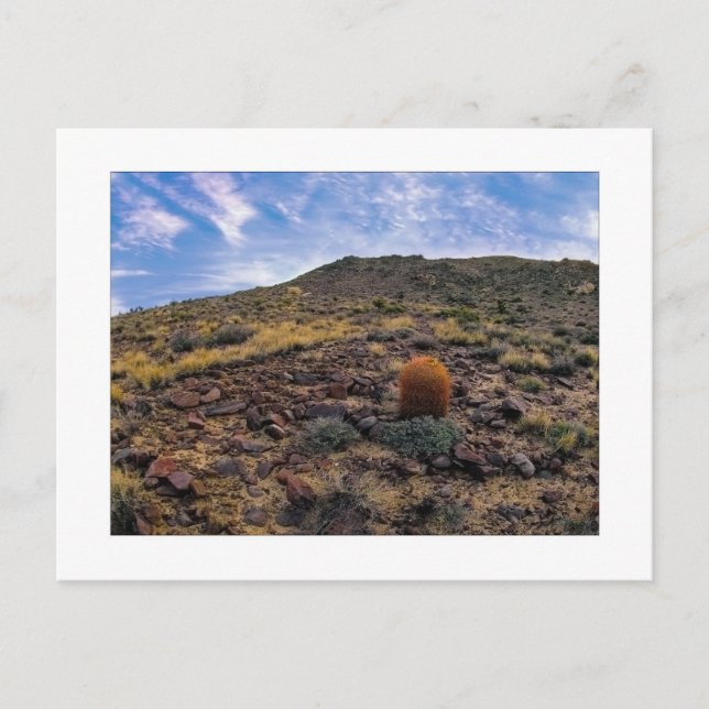 " King Of The Hill " Postcard (Front)