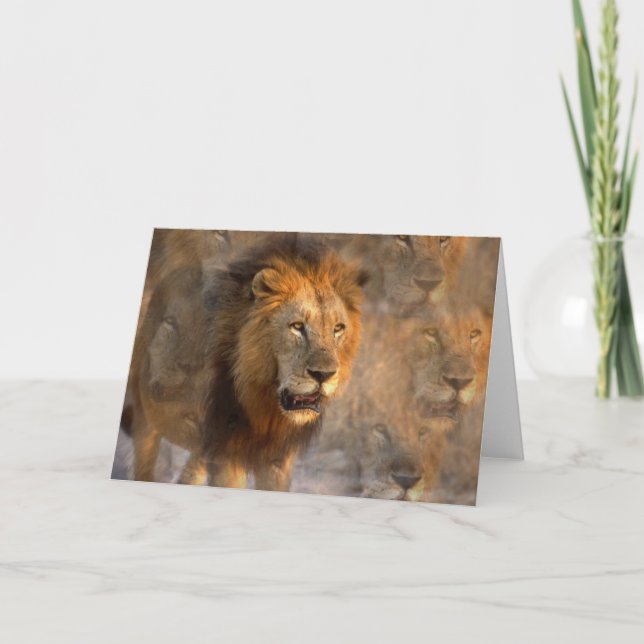 King of the Jungle Greeting Card (Front)