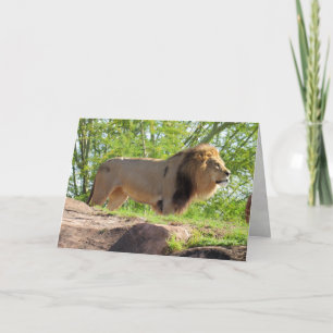 King of the Jungle Greeting Card (Lion)