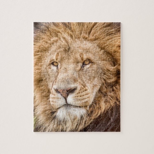 King of the Jungle--Lion Puzzle (Vertical)