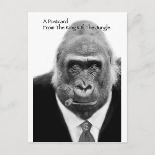 king of the jungle postcard