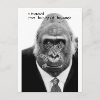 king of the jungle postcard