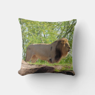 King of the Jungle Square Pillow (Lion)