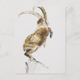 King of the Mountain 2005 Postcard