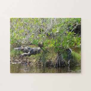 King of the Swamp - Alligator Jigsaw Puzzle