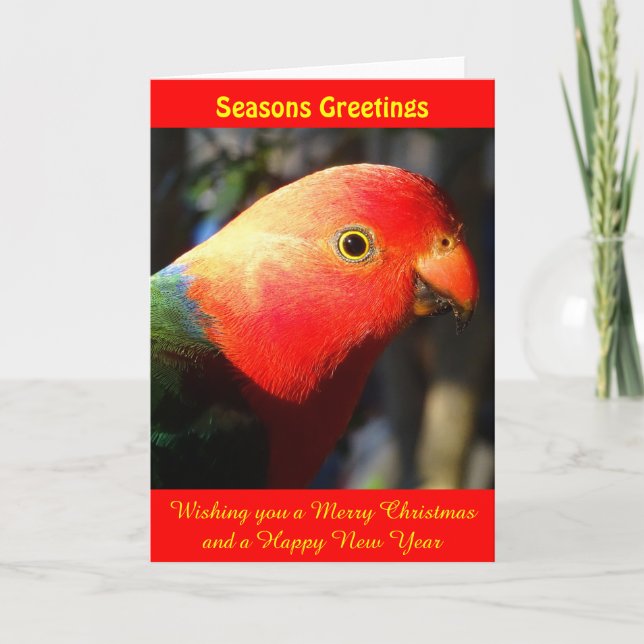 King Parrot Xmas Card (Front)