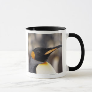 King penguin (Aptenodytes patagonicus) Mug