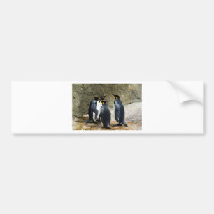 King Penguin Bumper Sticker
