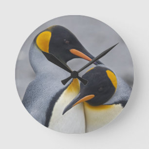 King Penguin Duet Clock