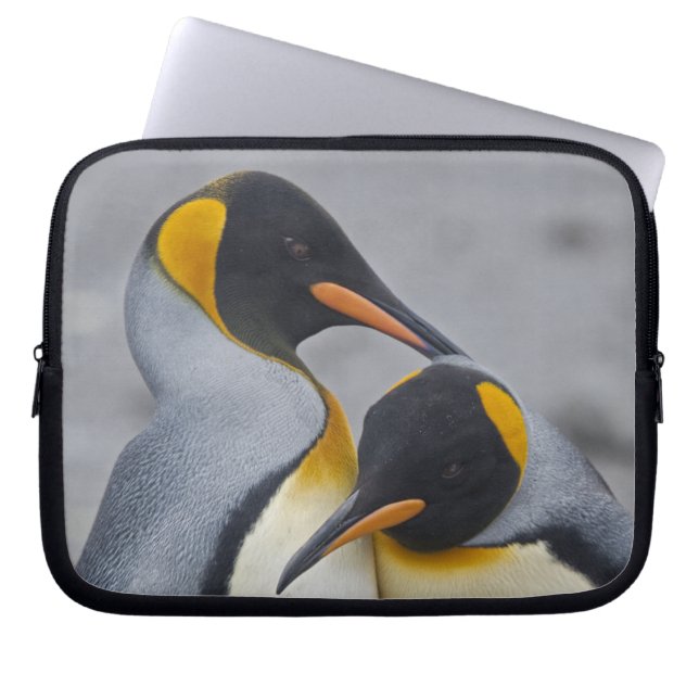 King Penguin Duet Laptop Sleeve (Front)