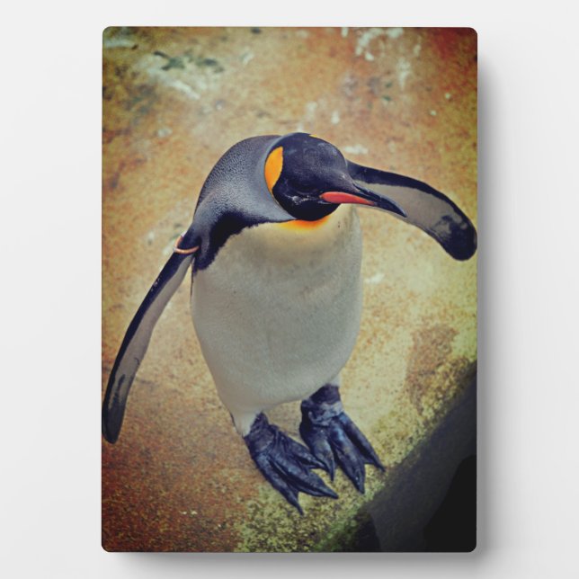 King Penguin Edinburgh Zoo Scotland Plaque (Front)