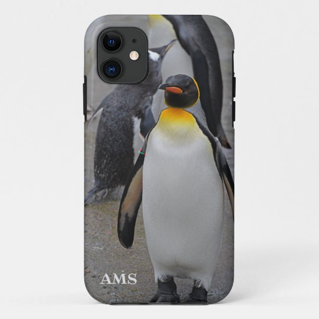 King Penguin & Friends Edinburgh Zoo Scotland Case-Mate iPhone Case (Back)