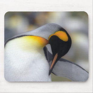 King penguin mouse pad