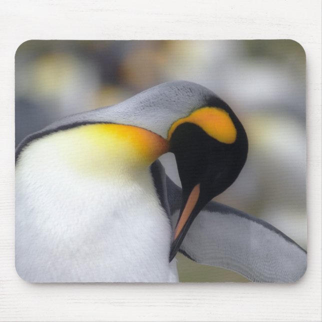 King penguin mouse pad (Front)