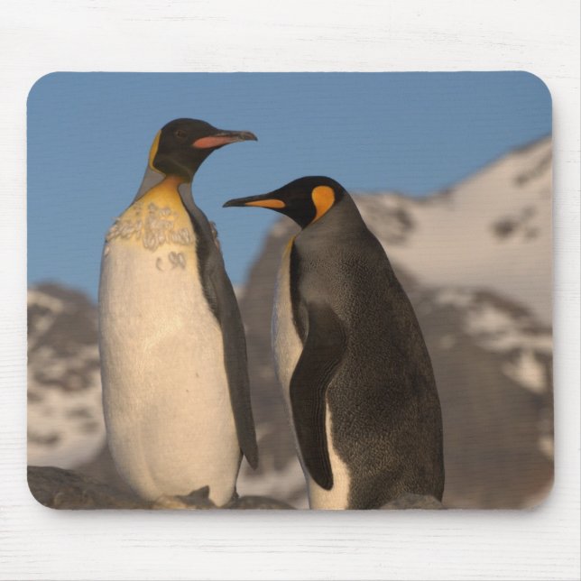 King Penguin Mouse Pad (Front)