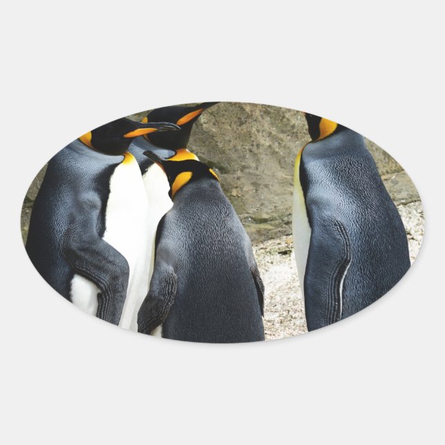 King Penguin Oval Sticker (Front)
