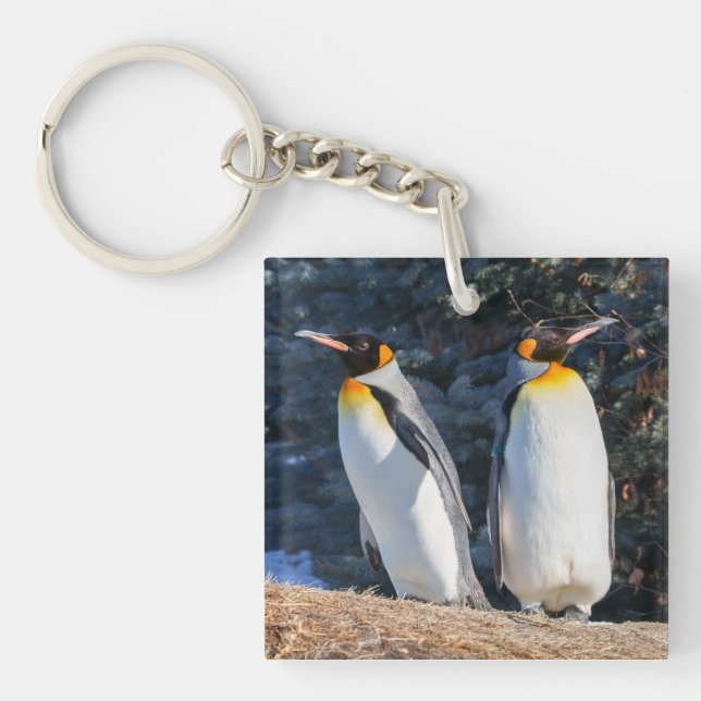 King Penguin Pair Against Wintry Backdrop Key Ring (Front)