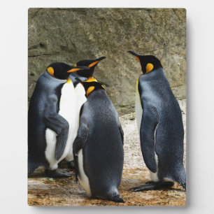 King Penguin Plaque
