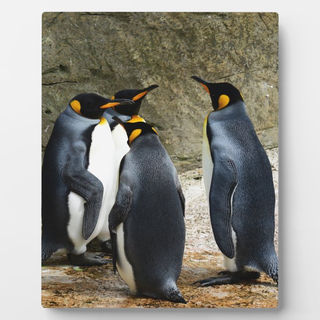 King Penguin Plaque (Front)
