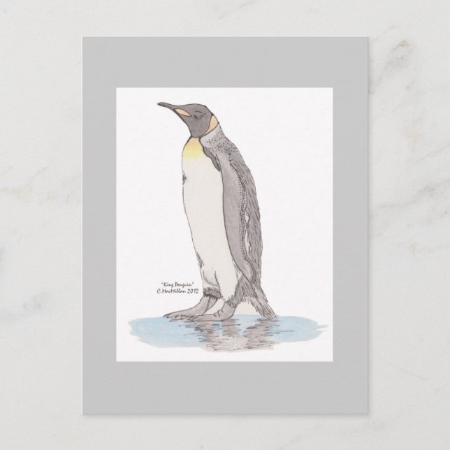 King Penguin Postcard (Front)