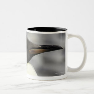 King Penguin, Salisbury Plain, South Georgia Two-Tone Coffee Mug