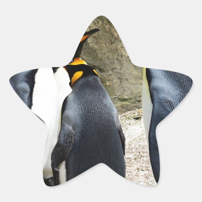 King Penguin Star Sticker (Front)