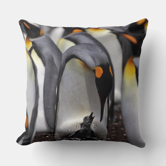 King Penguin with Chick Cushion (Front)