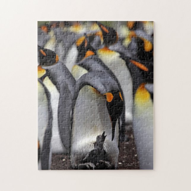 King Penguin with Chick Jigsaw Puzzle (Vertical)