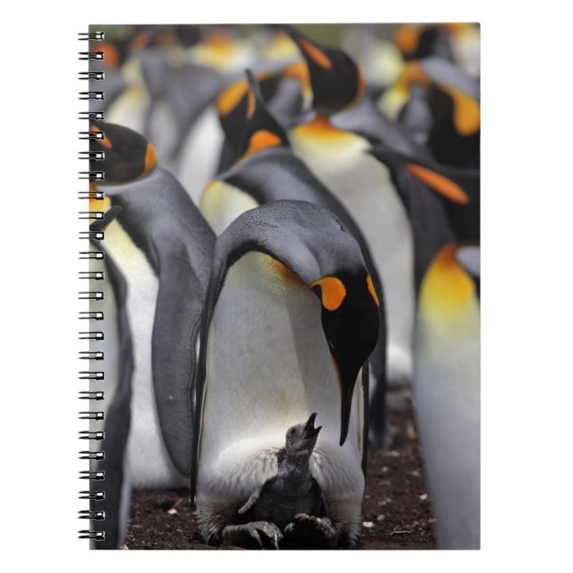 King Penguin with Chick Notebook (Front)