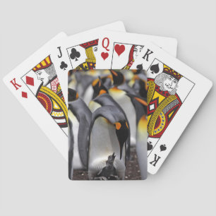 King Penguin with Chick Playing Cards