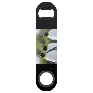 King penguins