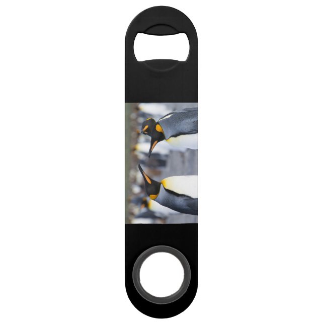 King Penguins (Back)