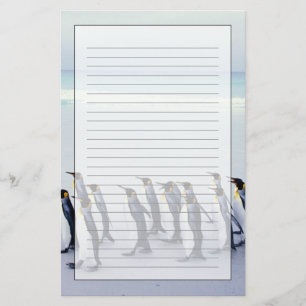King penguins (Aptenodytes patagonicus) Stationery