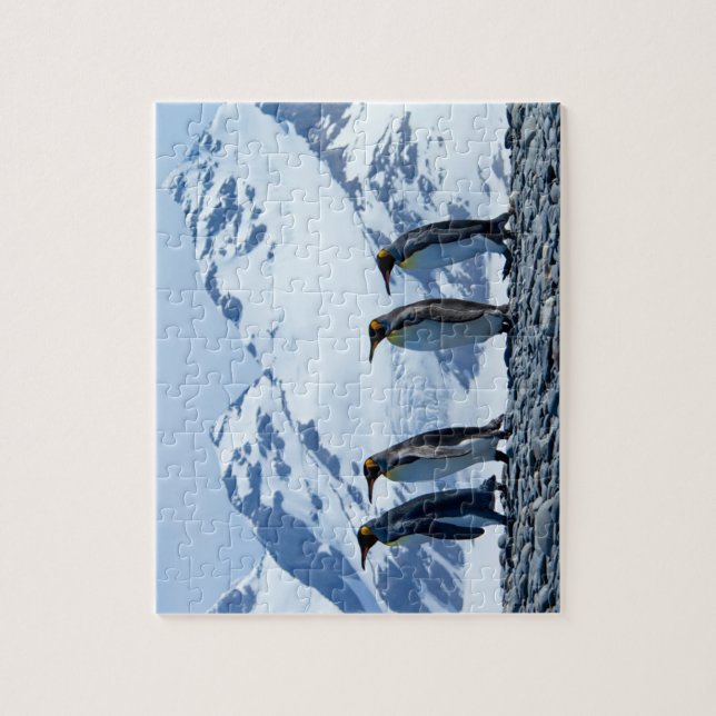 King Penguins at South Georgia Jigsaw Puzzle (Vertical)