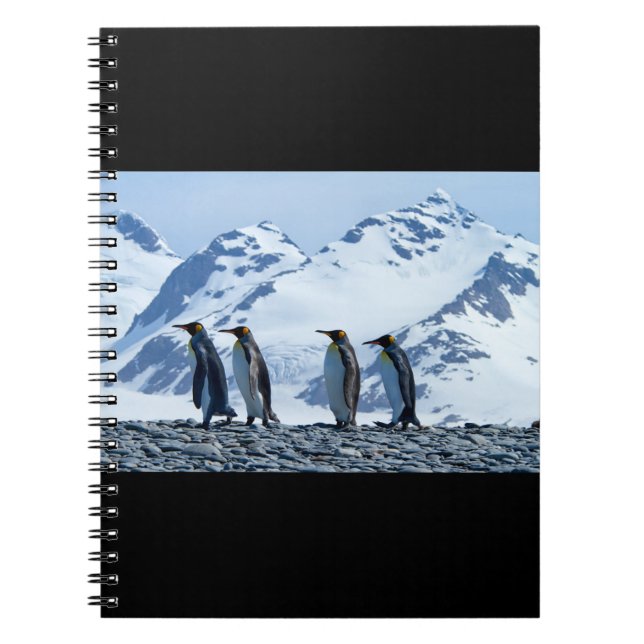King Penguins at South Georgia Notebook (Front)