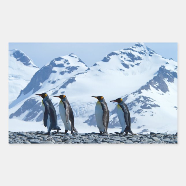 King Penguins at South Georgia Rectangular Sticker (Front)