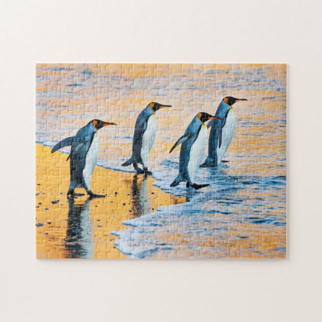 King penguins at sunrise jigsaw puzzle (Horizontal)