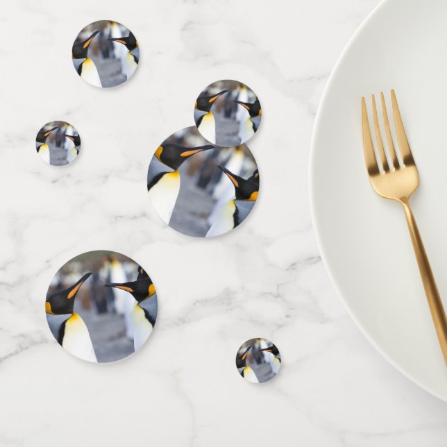 King Penguins Confetti (Group)