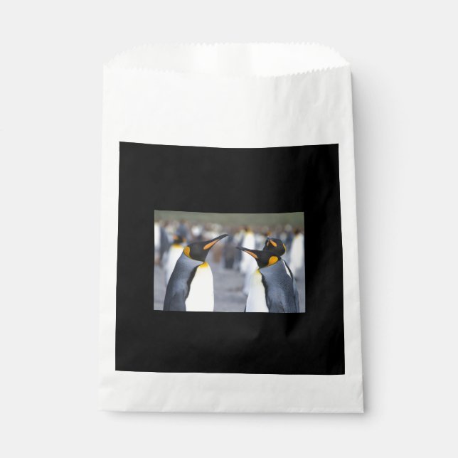 King Penguins Favour Bag (Front)