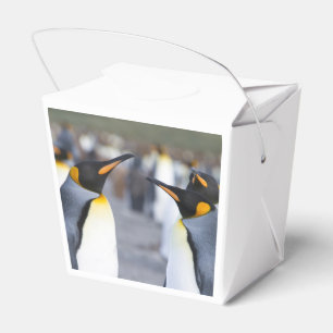 King Penguins Favour Box